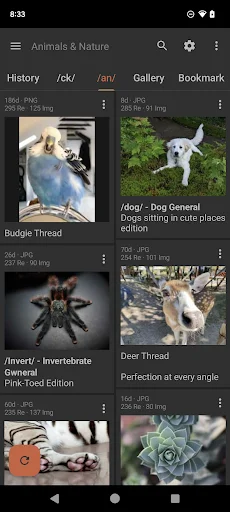 I-download ang Read Chan – Pinakamahusay na 4chan Reader App - Screenshot 2