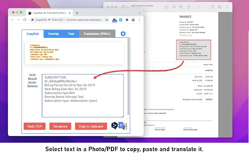 Copyfish Free OCR Software: Kumuha ng Text mula sa Imahe at Video - Screenshot 3