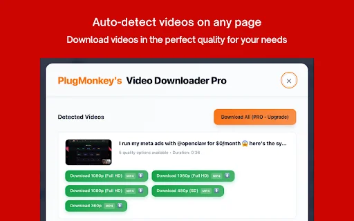 Video Downloader Pro: I-download ang Videos nang Mabilis at HD - Screenshot 1