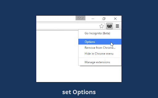 I-download ang Go Incognito Para sa Mabilis na Private Browsing - Screenshot 5